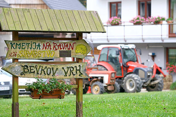 38. judita demšar